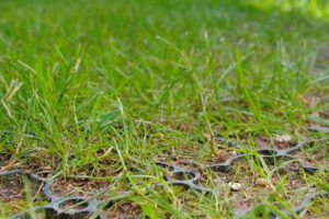 Een tuin die is aangelegd met gras waar het gras modderig en er veel putten in liggen.