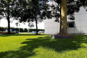 Kunstgras die is aangelegd in een voortuin van een bedrijf waarin er verschillende bomen zijn verwerkt erin door het kunstgrascentrum.