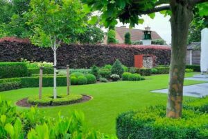 Een prachtige achtertuin aangelegd met kunstgras door het kunstgrascentrum met hagen en beplanting rond en beplanting in het midden van het kunstgras