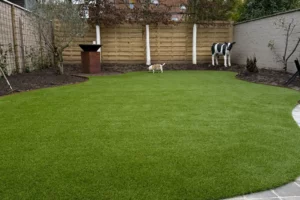 Ontdek hoe drie partijen samen dit project tot leven brachten en hoe Royal Grass® Bloom het hart van één bijzonder enthousiaste Jack Russell veroverde